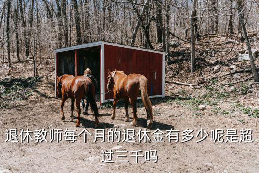山東退休教師工資多少一個(gè)月,退休工資怎么算