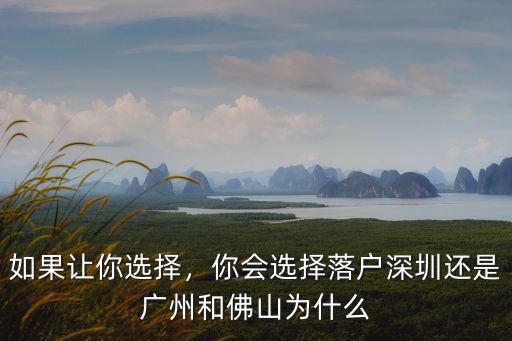 如果讓你選擇，你會選擇落戶深圳還是廣州和佛山為什么