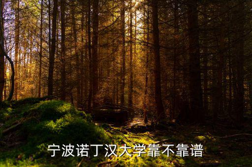 寧波諾丁漢大學(xué)招多少人,寧波諾丁漢大學(xué)靠不靠譜