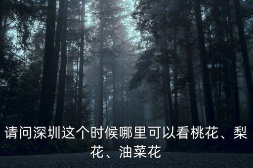 請(qǐng)問深圳這個(gè)時(shí)候哪里可以看桃花、梨花、油菜花
