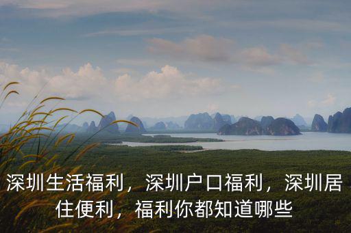 深圳中基自動化福利怎么樣,深圳戶口福利
