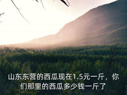 聊城今年的西瓜價多少,今年早西瓜價格還行