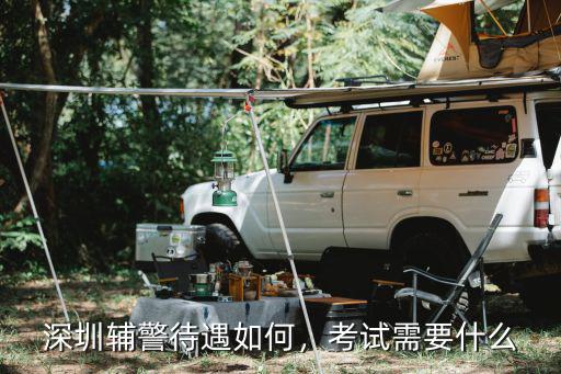 在深圳考個輔警怎么樣,在深圳做輔警的前途如何