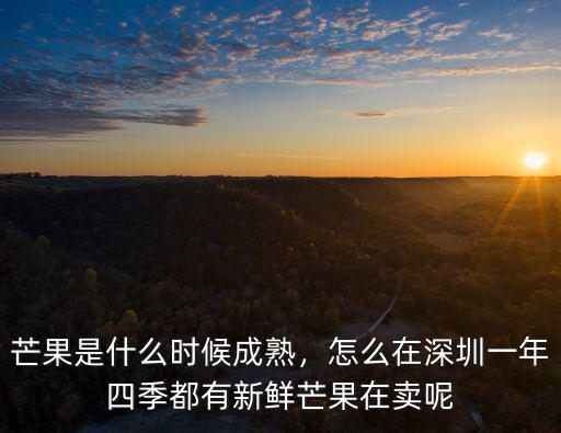 芒果是什么時候成熟，怎么在深圳一年四季都有新鮮芒果在賣呢