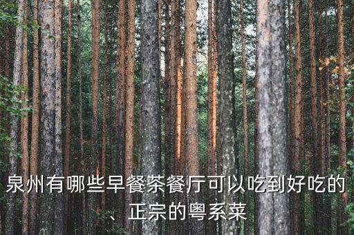 泉州市哪里有正宗的廣東煲仔飯,廣東哪個地方的煲仔飯最好吃
