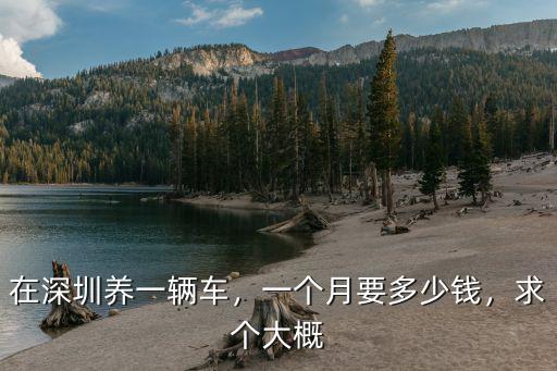 在深圳養(yǎng)一輛車，一個月要多少錢，求個大概