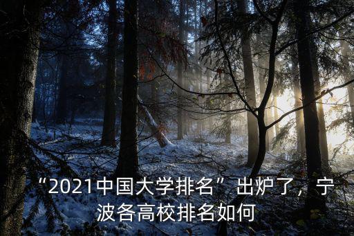 “2021中國大學(xué)排名”出爐了，寧波各高校排名如何