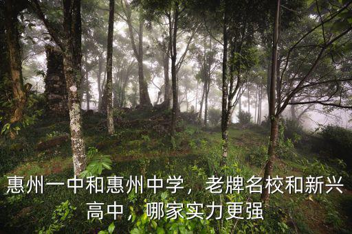 惠州一中和惠州中學(xué)，老牌名校和新興高中，哪家實(shí)力更強(qiáng)
