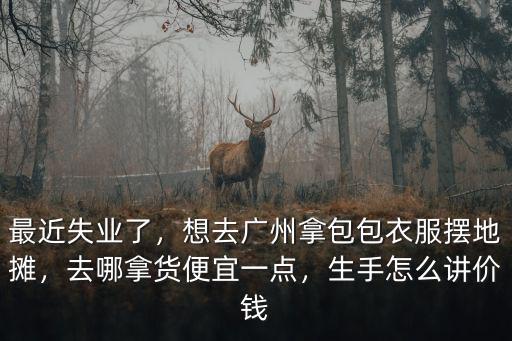 廣州衣服地?cái)側(cè)ツ睦飻[,想去廣州拿包包衣服擺地?cái)?/></a></span><span id=