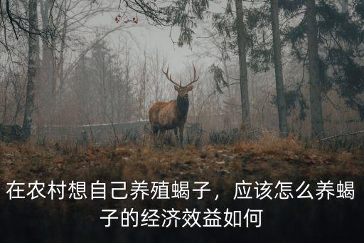 東莞哪里有養(yǎng)殖蝎子的,廣東適合養(yǎng)殖蝎子嗎