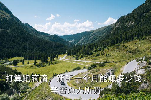 打算跑滴滴，新手一個月能賺多少錢，辛苦點無所謂