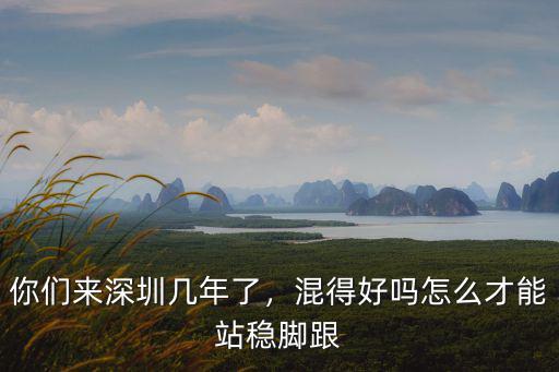 在深圳哪里人混得好,居住在深圳哪個(gè)省市的人最多