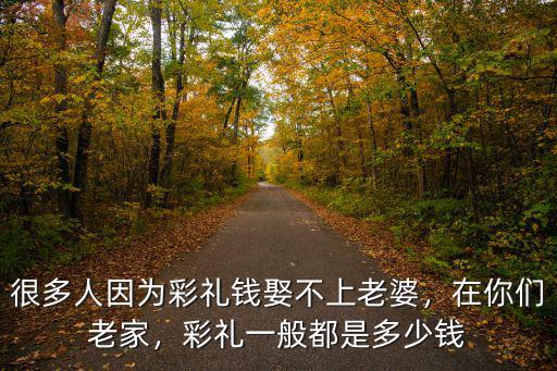 很多人因為彩禮錢娶不上老婆，在你們老家，彩禮一般都是多少錢