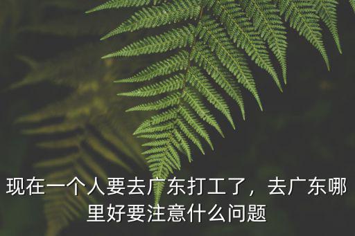 現在一個人要去廣東打工了，去廣東哪里好要注意什么問題