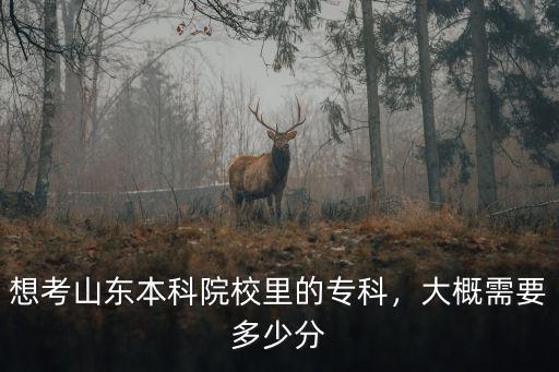 山東專升本分?jǐn)?shù)線預(yù)計多少,大概需要多少分