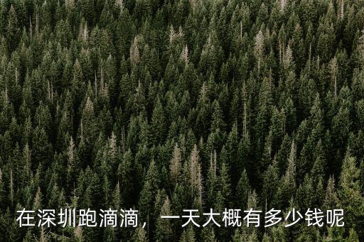 深圳跑滴滴一單有多少錢,深圳晚上跑滴滴怎么樣
