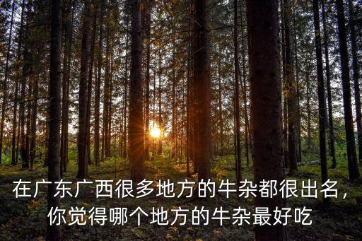 廣州正宗牛雜哪里最好吃,廣州哪家店的牛雜好吃