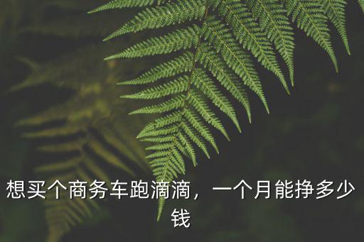 湖州滴滴一個月能掙多少錢,想買個商務車跑滴滴