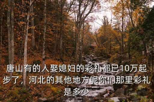 唐山有的人娶媳婦的彩禮都已10萬起步了，河北的其他地方呢你們那里彩禮是多少