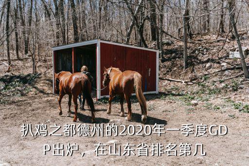 扒雞之都德州的2020年一季度GDP出爐，在山東省排名第幾