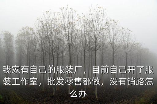 我家有自己的服裝廠，目前自己開了服裝工作室，批發零售都做，沒有銷路怎么辦