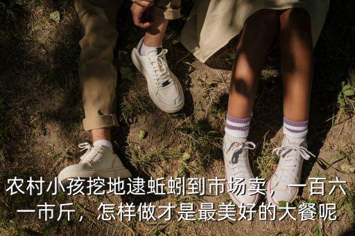 廣東賣蚯蚓市場在哪里,農(nóng)村小孩挖地逮蚯蚓到市場賣