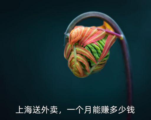 上海送外賣，一個(gè)月能賺多少錢