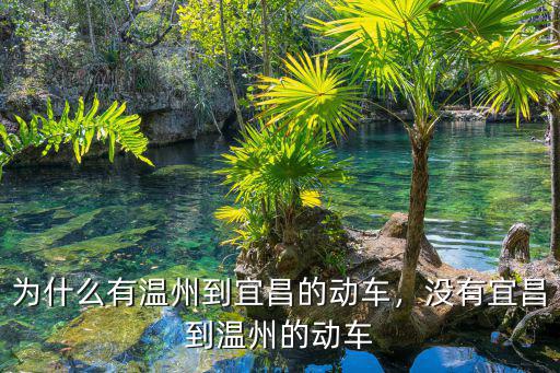 溫州南到宜昌東動車票價多少,為什么有溫州到宜昌的動車