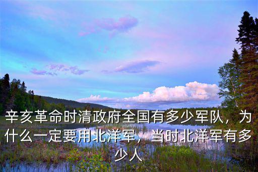 辛亥革命山東總人口多少,辛亥革命期間清朝有多少兵力