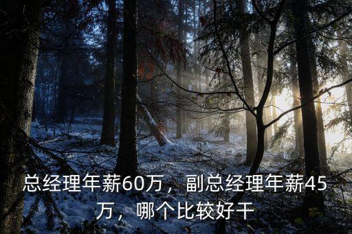 總經理年薪60萬，副總經理年薪45萬，哪個比較好干