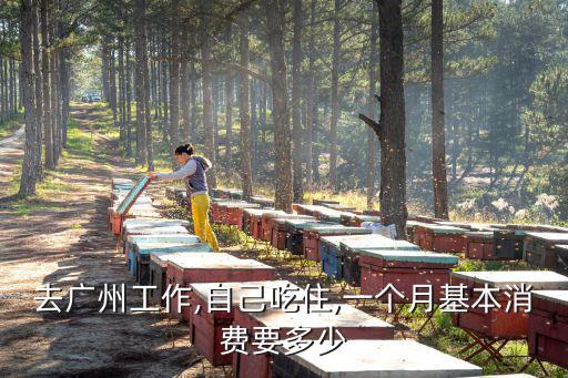 去廣州工作,自己吃住,一個月基本消費要多少