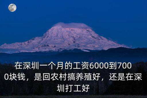 在深圳一個(gè)月的工資6000到7000塊錢，是回農(nóng)村搞養(yǎng)殖好，還是在深圳打工好