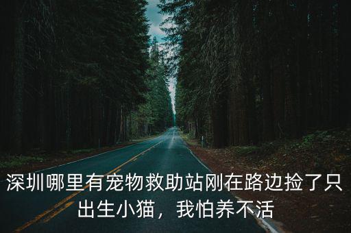 深圳哪里有寵物救助站剛在路邊撿了只出生小貓，我怕養(yǎng)不活