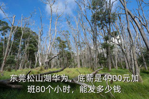 東莞松山湖華為，底薪是4900元加班80個(gè)小時(shí)，能發(fā)多少錢(qián)
