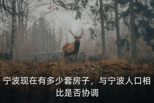 寧波現在有多少套房子，與寧波人口相比是否協調