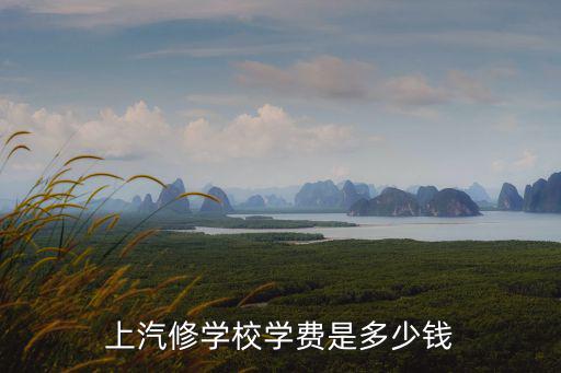 深圳學汽修學費多少錢,上汽修學校學費是多少錢