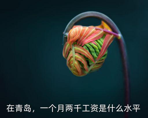 在青島，一個月兩千工資是什么水平