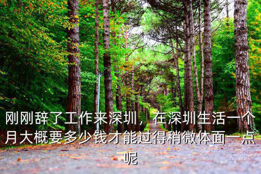 2018在深圳打工一月多少錢,在深圳進工廠打工