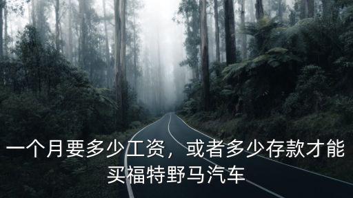 浙江二手福特野馬中規多少錢,一個月要多少工資