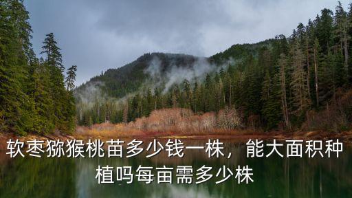 東莞冰荔苗多少錢一棵,軟棗獼猴桃苗多少錢一株