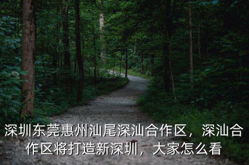 深圳東莞惠州汕尾深汕合作區，深汕合作區將打造新深圳，大家怎么看