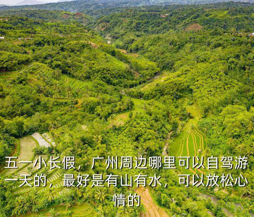 廣州哪里可以打山泉水,廣州帽峰山山泉水如何