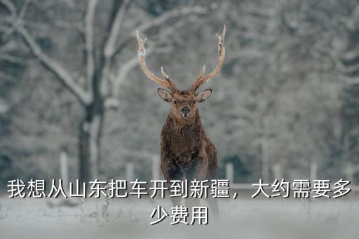 山東到新疆的運費多少,大約需要多少費用