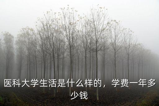 廣東醫(yī)科大一年學(xué)費(fèi)多少,醫(yī)科大學(xué)生活是什么樣的