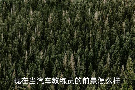 現在當汽車教練員的前景怎么樣