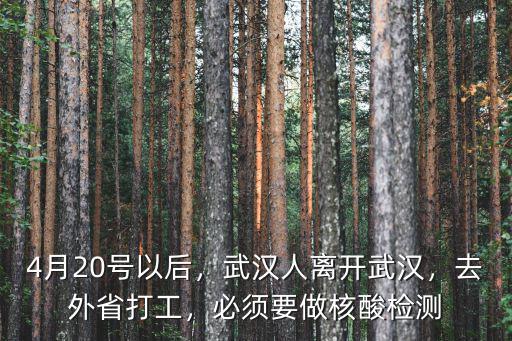4月20號以后，武漢人離開武漢，去外省打工，必須要做核酸檢測