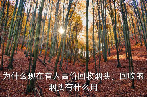 為什么現(xiàn)在有人高價(jià)回收煙頭，回收的煙頭有什么用