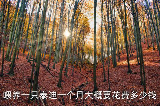 喂養(yǎng)一只泰迪一個(gè)月大概要花費(fèi)多少錢