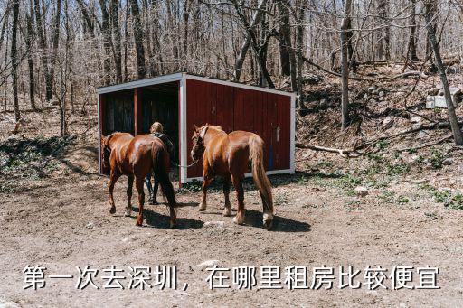 深圳一般哪里租房子,第一次去深圳