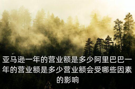 亞馬遜一年的營業額是多少阿里巴巴一年的營業額是多少營業額會受哪些因素的影響